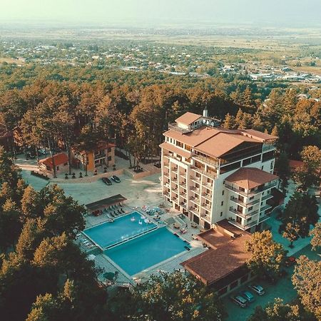 Zuzumbo Resort & Spa Telavi Extérieur photo
