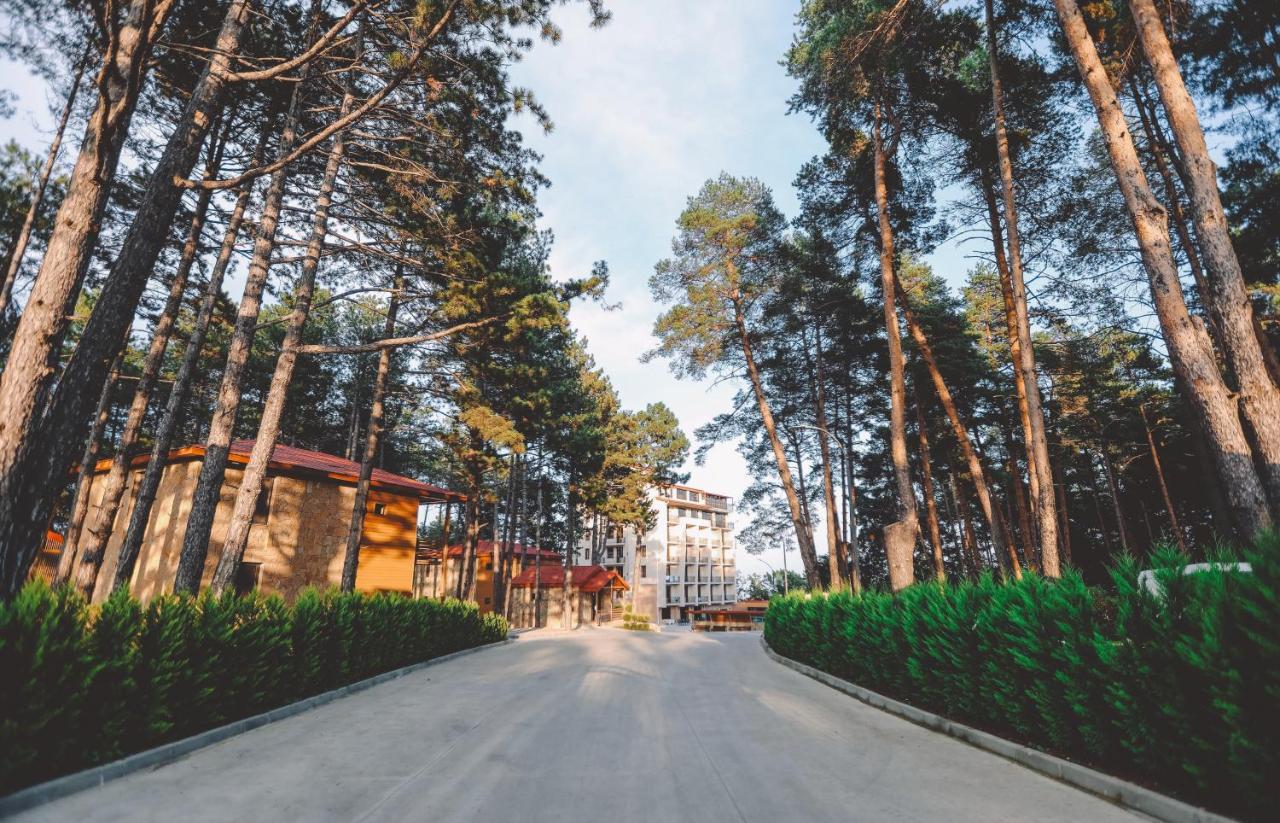Zuzumbo Resort & Spa Telavi Extérieur photo