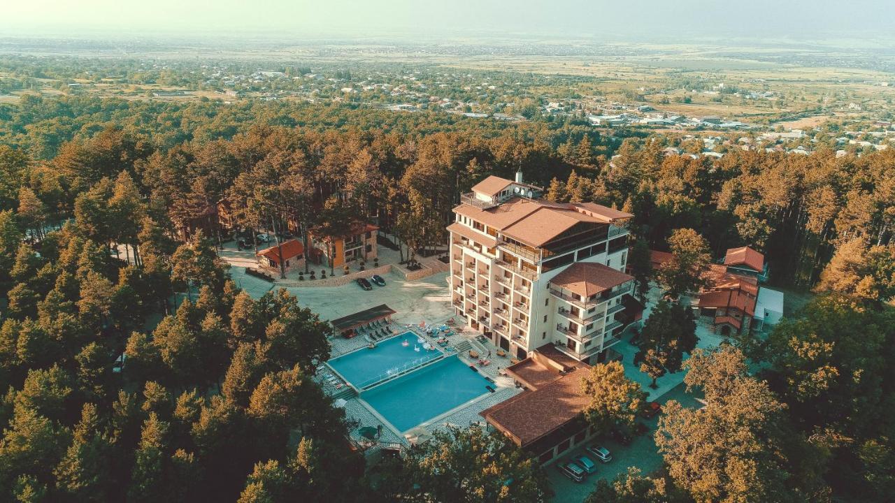 Zuzumbo Resort & Spa Telavi Extérieur photo