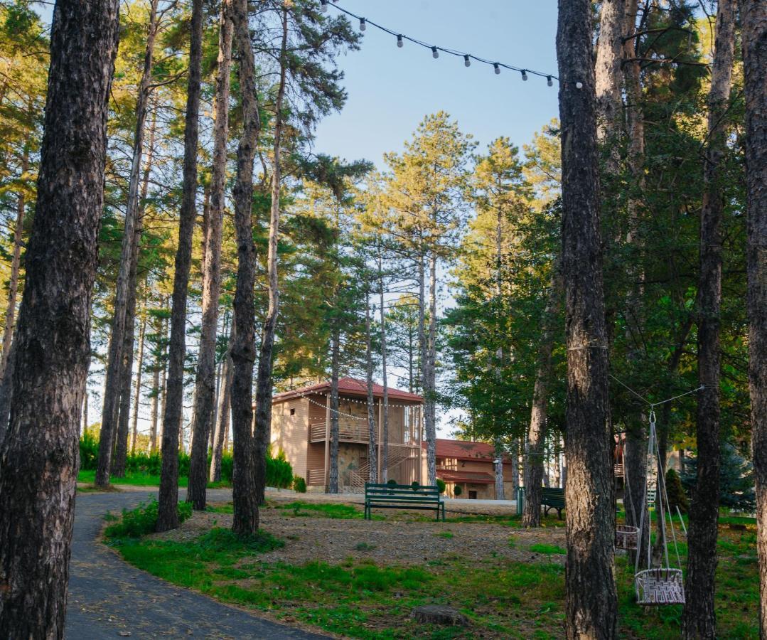 Zuzumbo Resort & Spa Telavi Extérieur photo