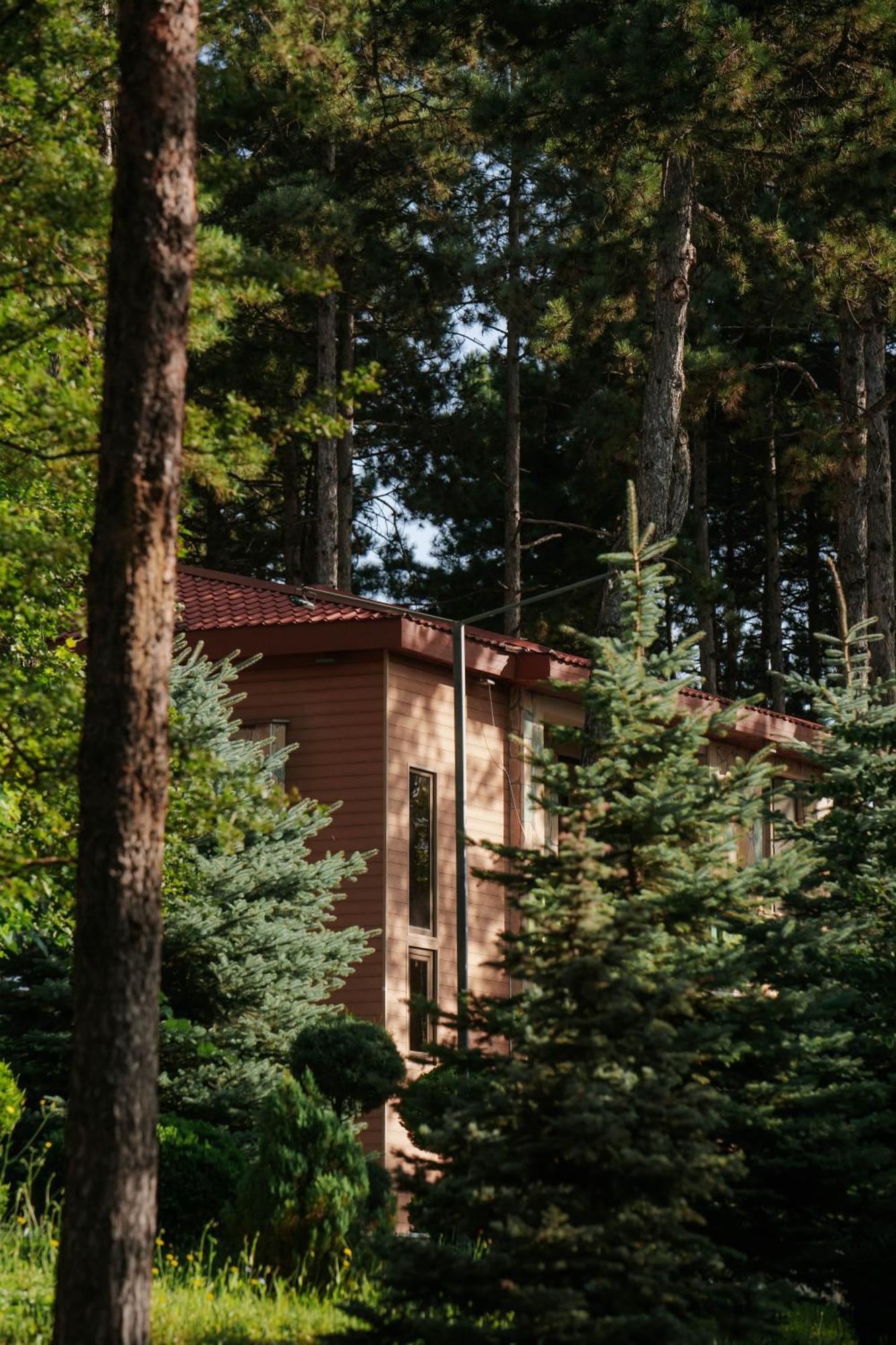 Zuzumbo Resort & Spa Telavi Extérieur photo